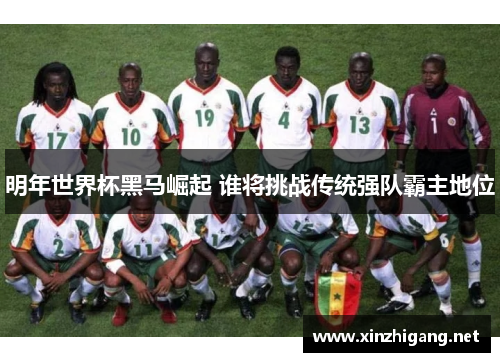 明年世界杯黑马崛起 谁将挑战传统强队霸主地位